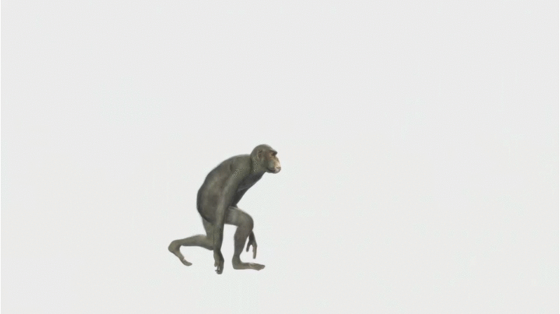 Evolution2