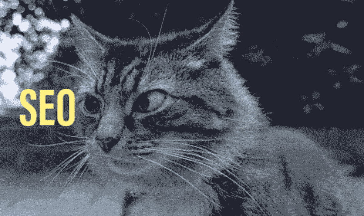 Image Cat FA