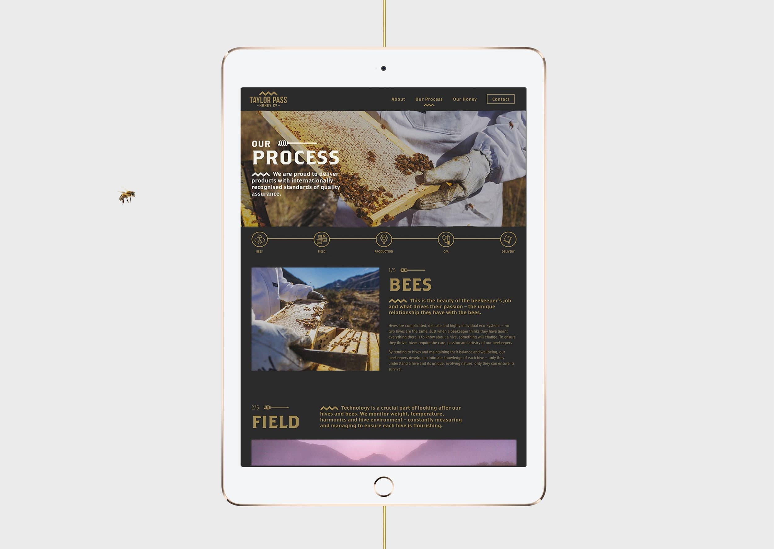 TPHC Website 01