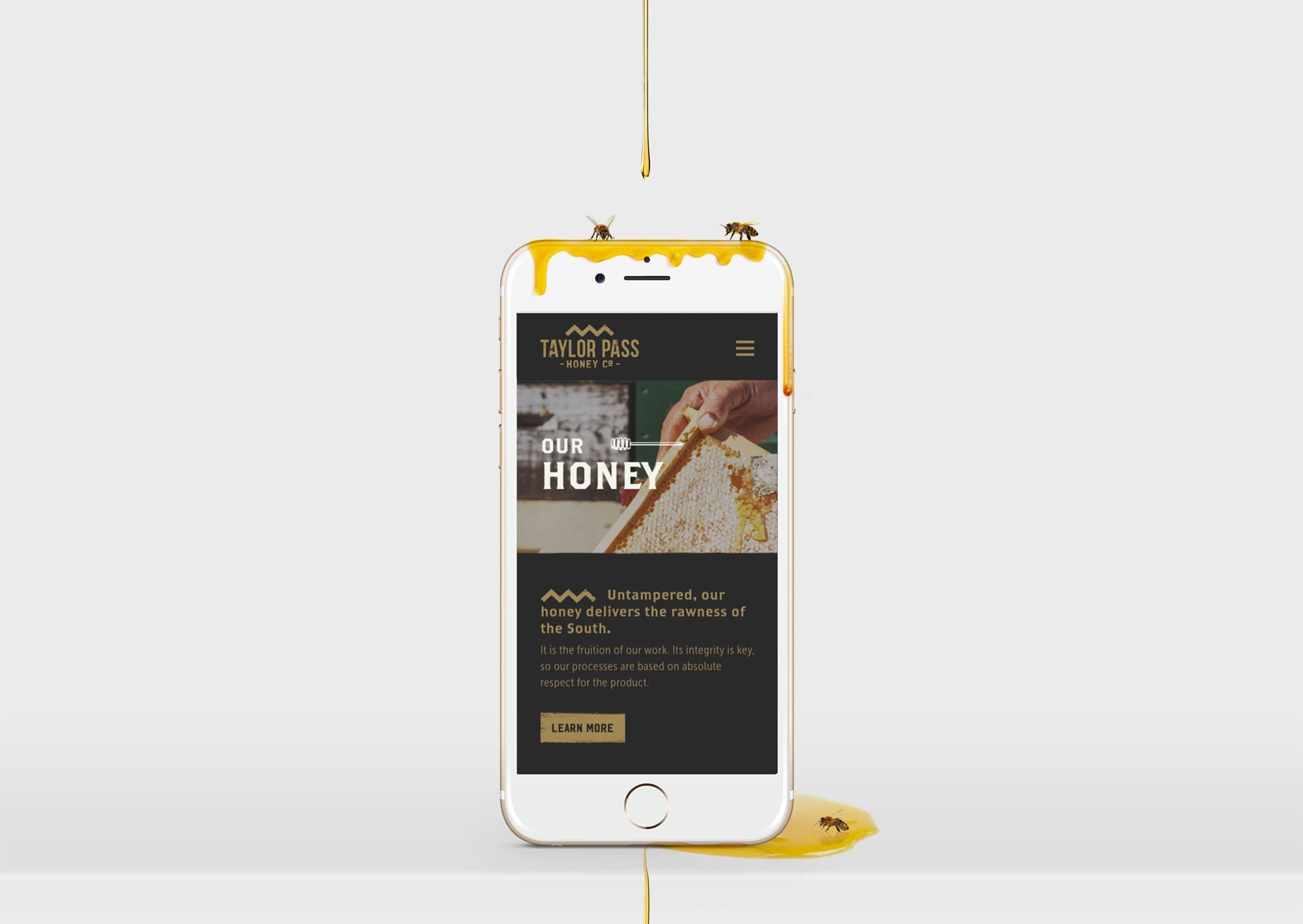 TPHC Website 03